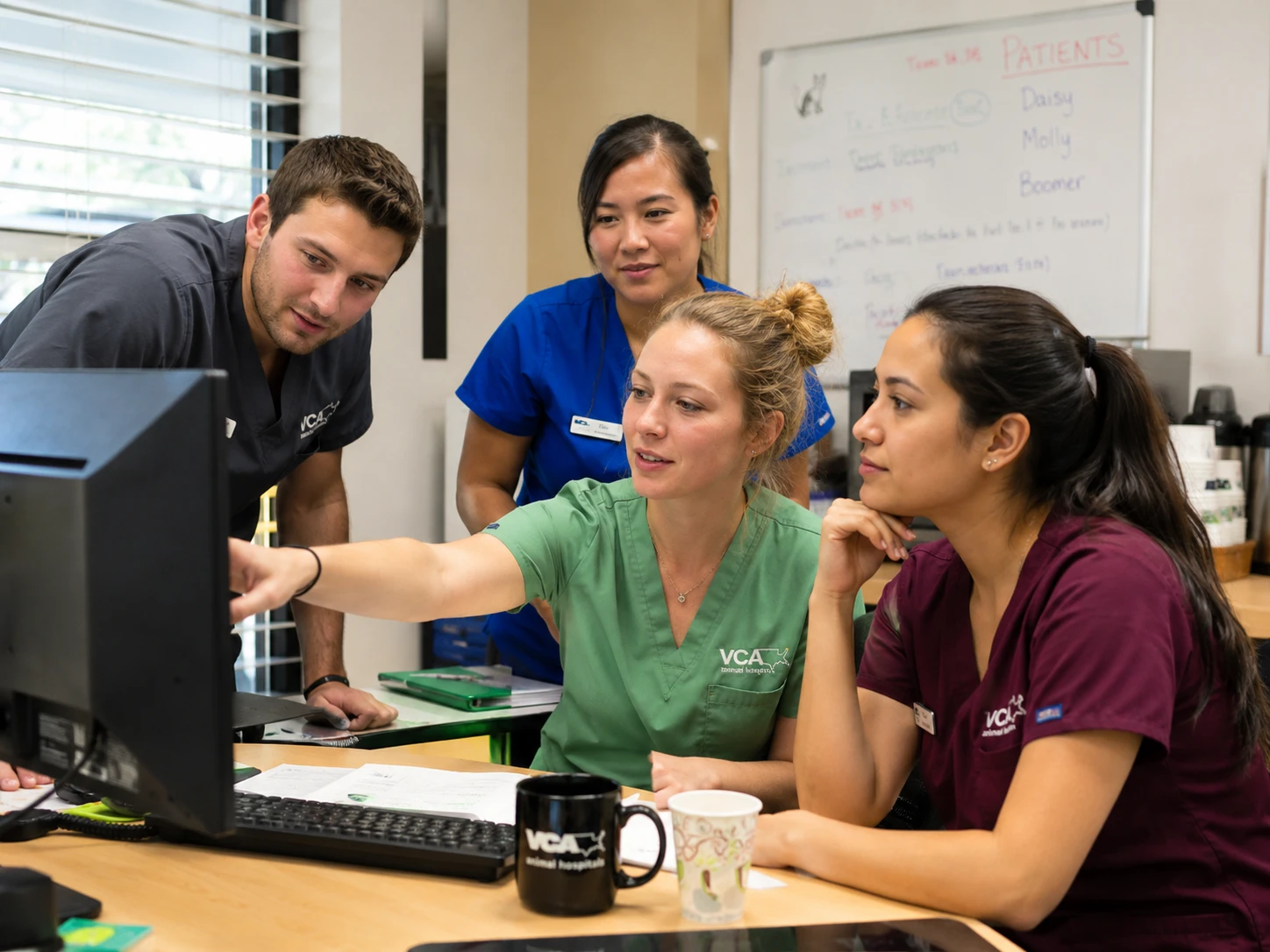Veterinary team gathered around a screen during a new software implementation and training session