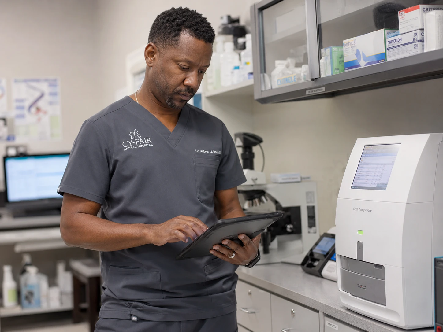 Veterinarian reviewing diagnostic lab results on a tablet using cloud veterinary practice software